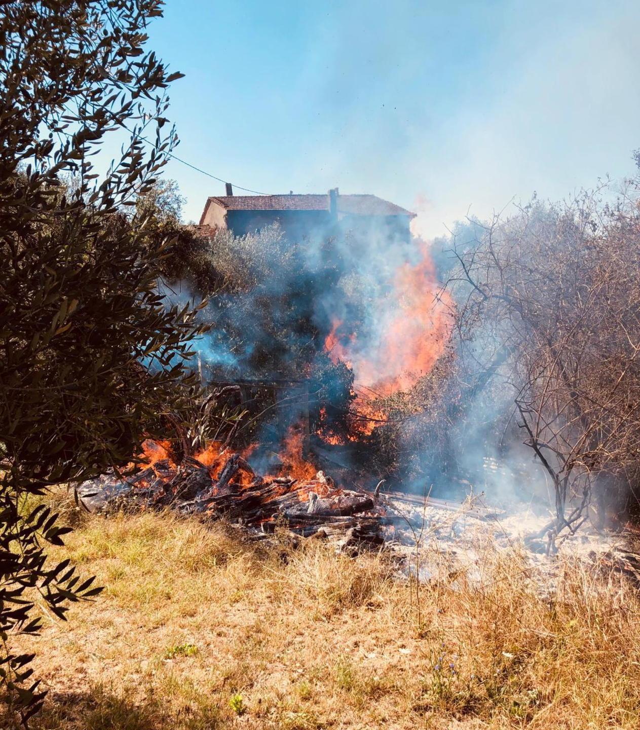 Uliveta in fiamme a Larciano