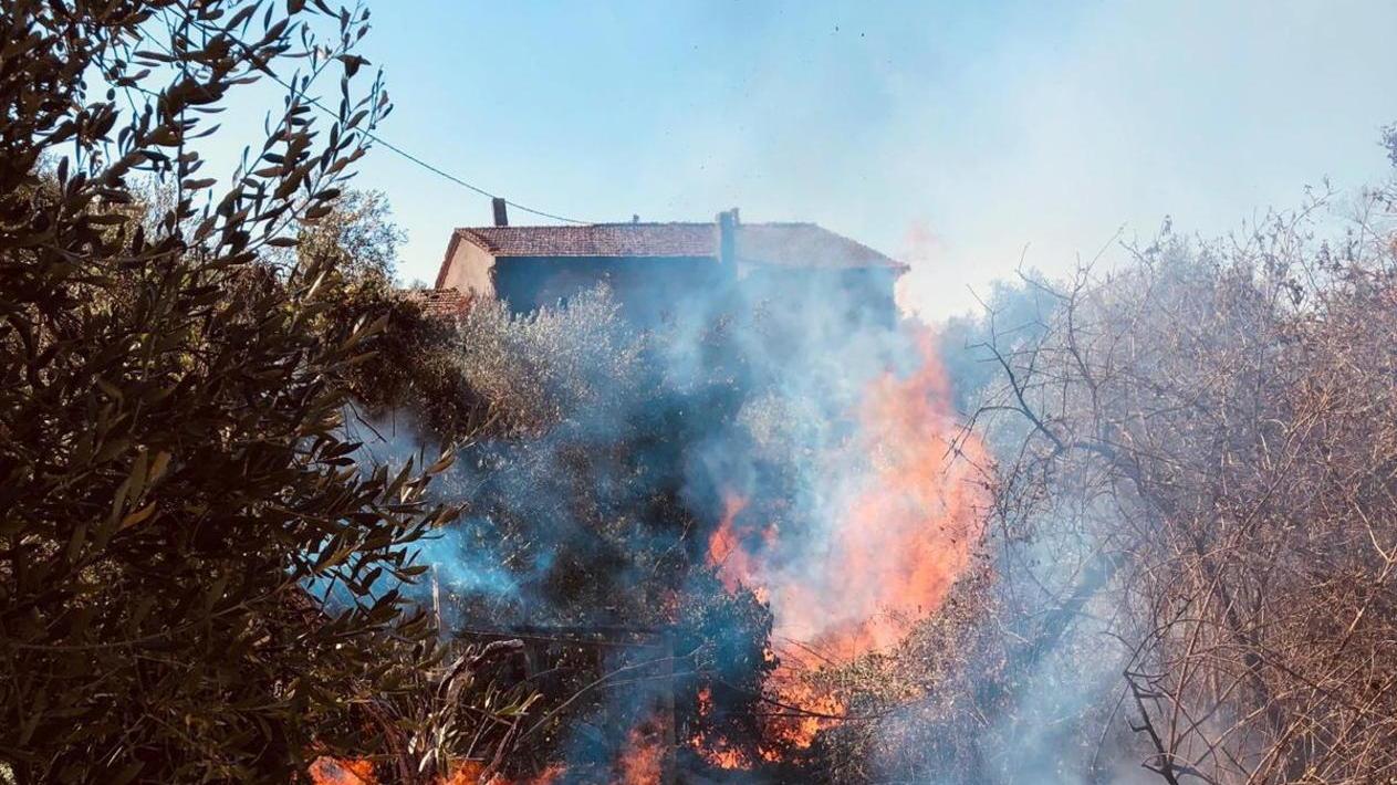 Uliveta in fiamme a Larciano