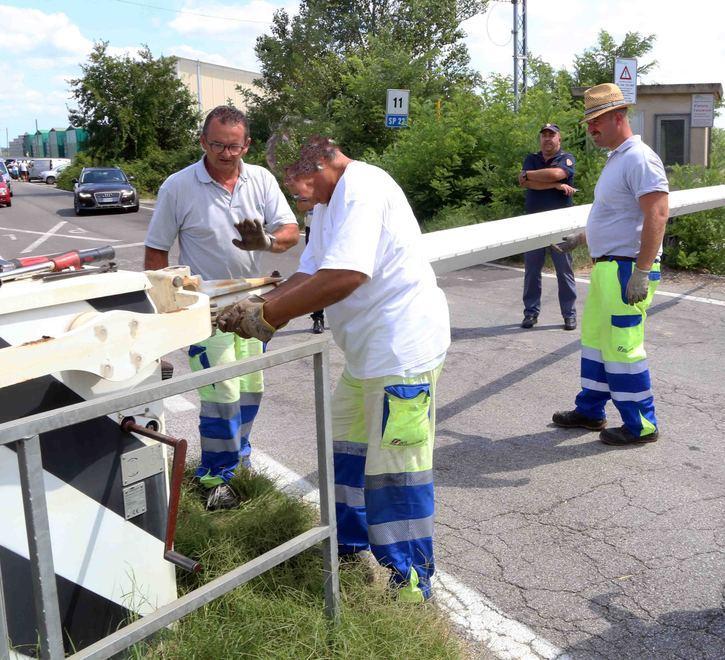 Trattore trancia cavo elettrico ai binari Treni fermi per tre ore 
