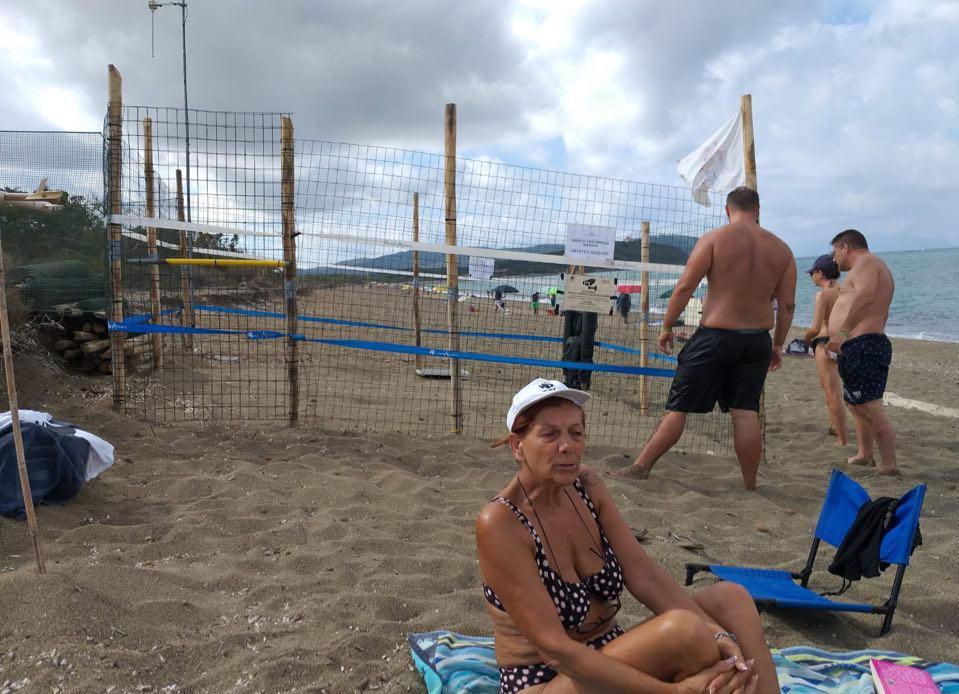 Nidi di tartaruga sulle spiagge di Baratti e Rimigliano, i turni dei volontari più i sensori 