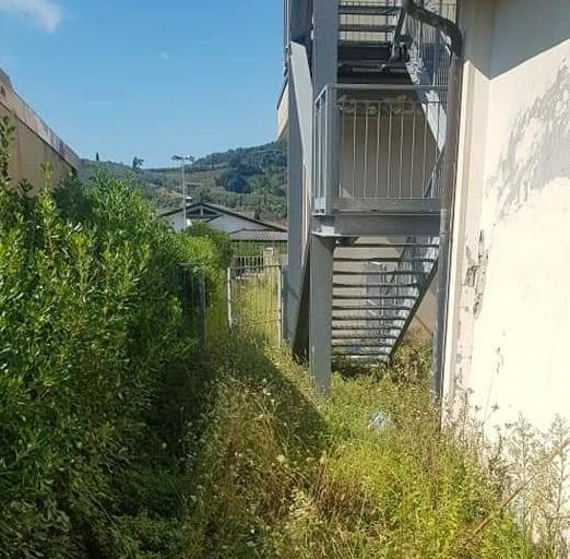 Erba alta e degrado a scuola ma presto inizieranno i lavori 