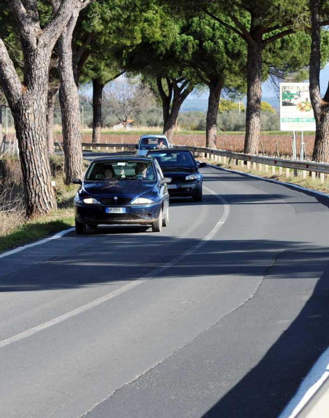 Petizione per denunciare le pessime condizioni della strada statale 398