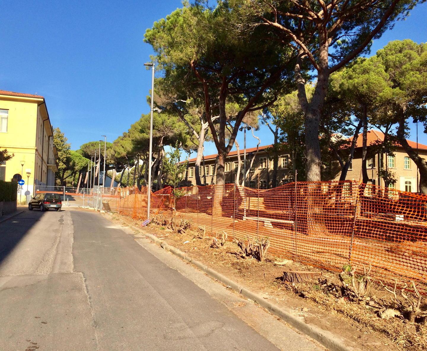 Su una parte dell’area è possibile camminare