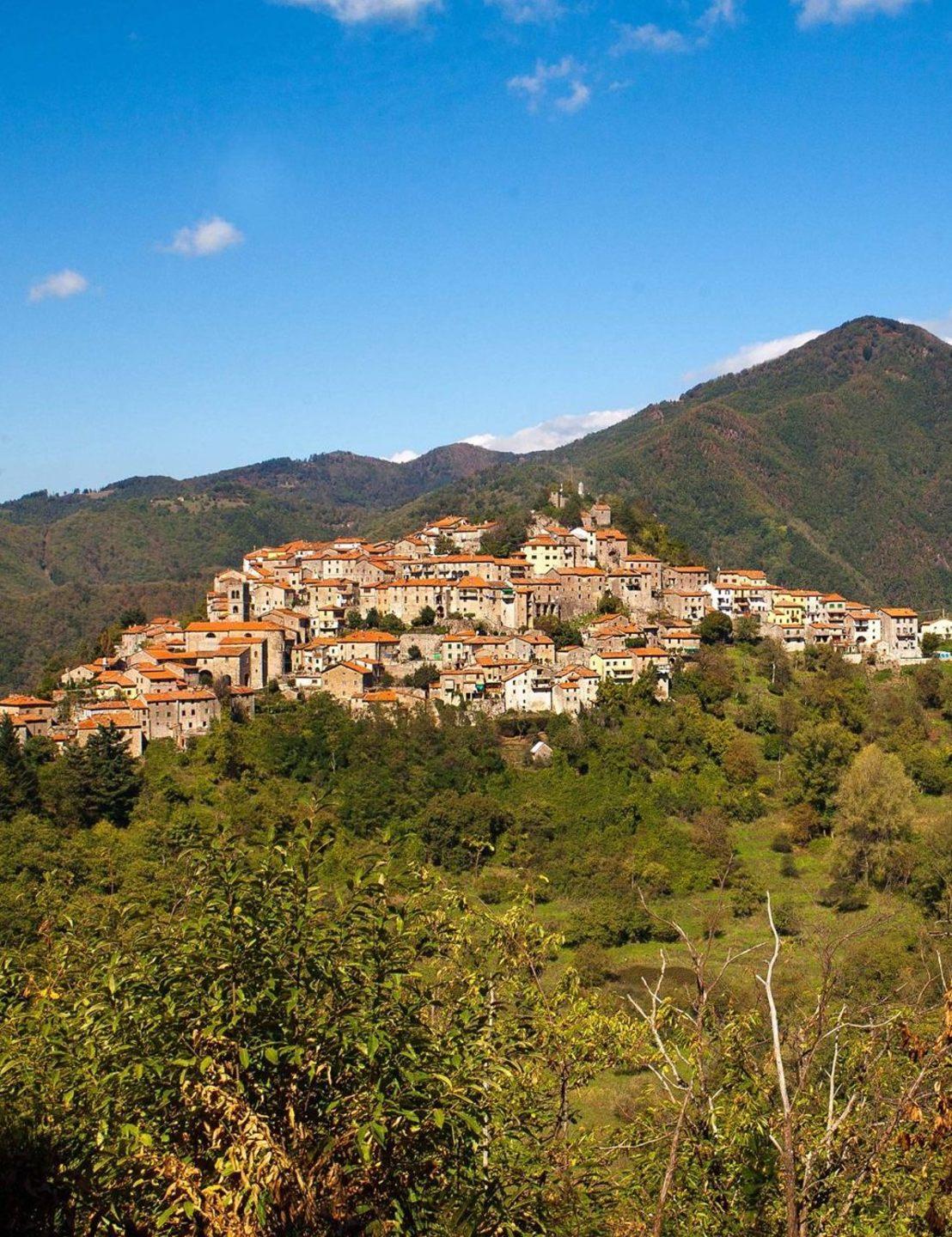 Disturbi intestinali e pesci morti in vasca, acqua sotto accusa 