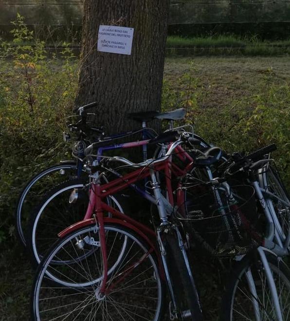 «Quel gruppetto di ragazzi ha compiuto altri vandalismi» 