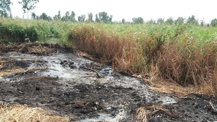 Allagati i campi di torba che bruciavano da mesi