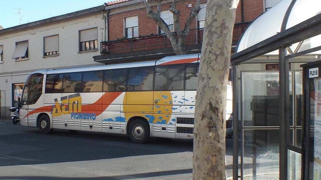 «Legittimo sostituire Macchioni Imbocchi pure le vie legali»