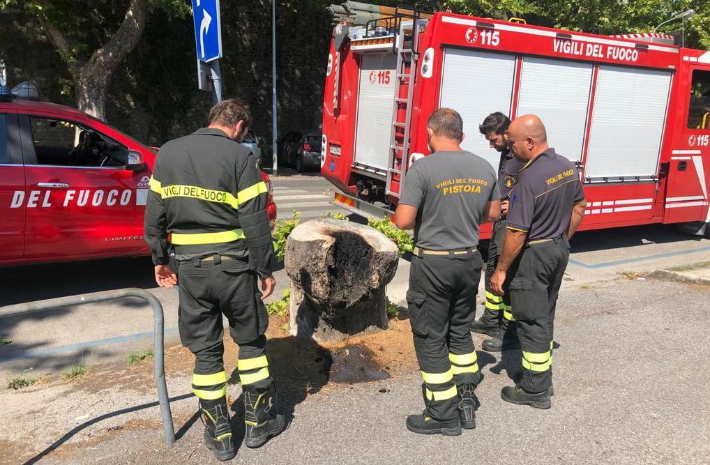 In fiamme ceppo di un albero 