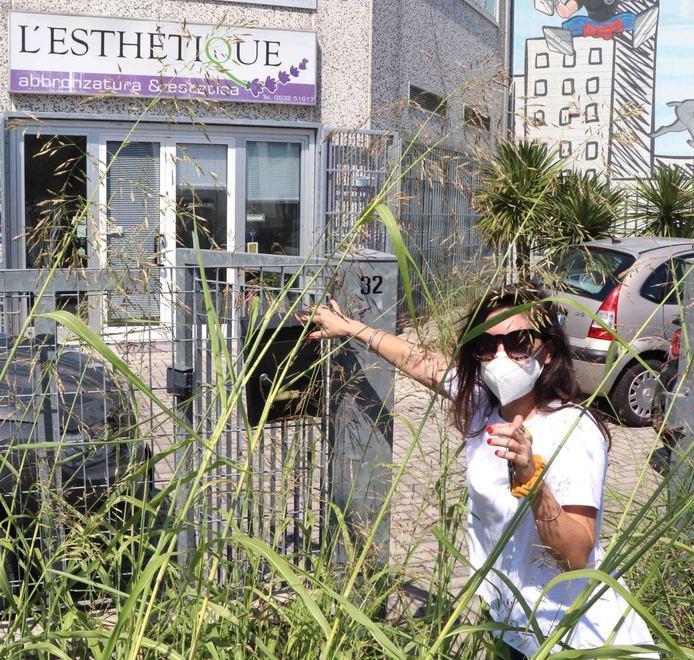 «Indecorose queste erbacce» Proteste anche degli esercenti