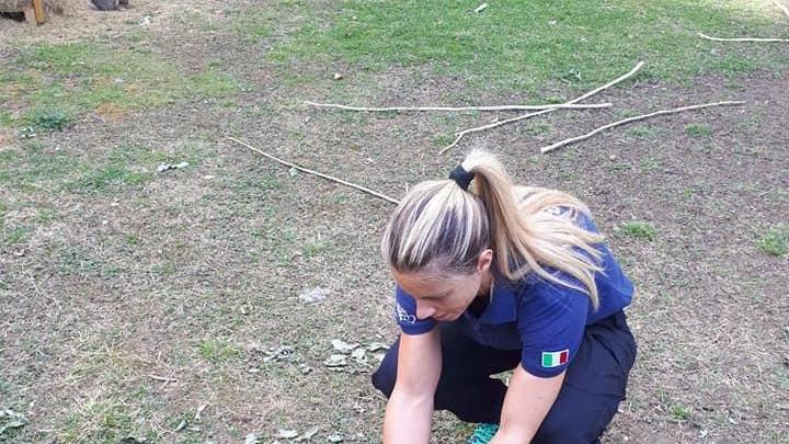 La denuncia di Oipa: "A Modena ad agosto sono stati abbandonati oltre 50 gattini e conigli"