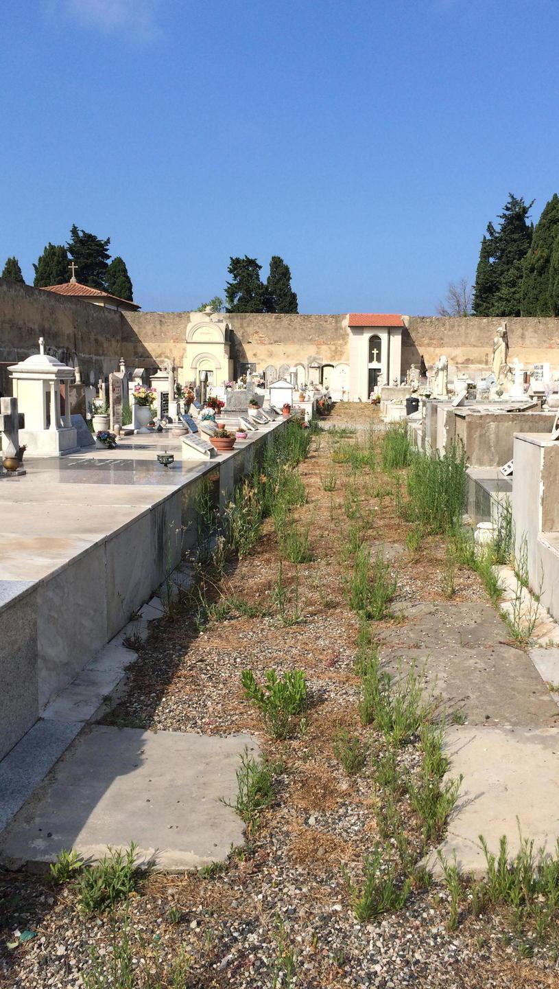 Nuova gestione per il cimitero comunale 