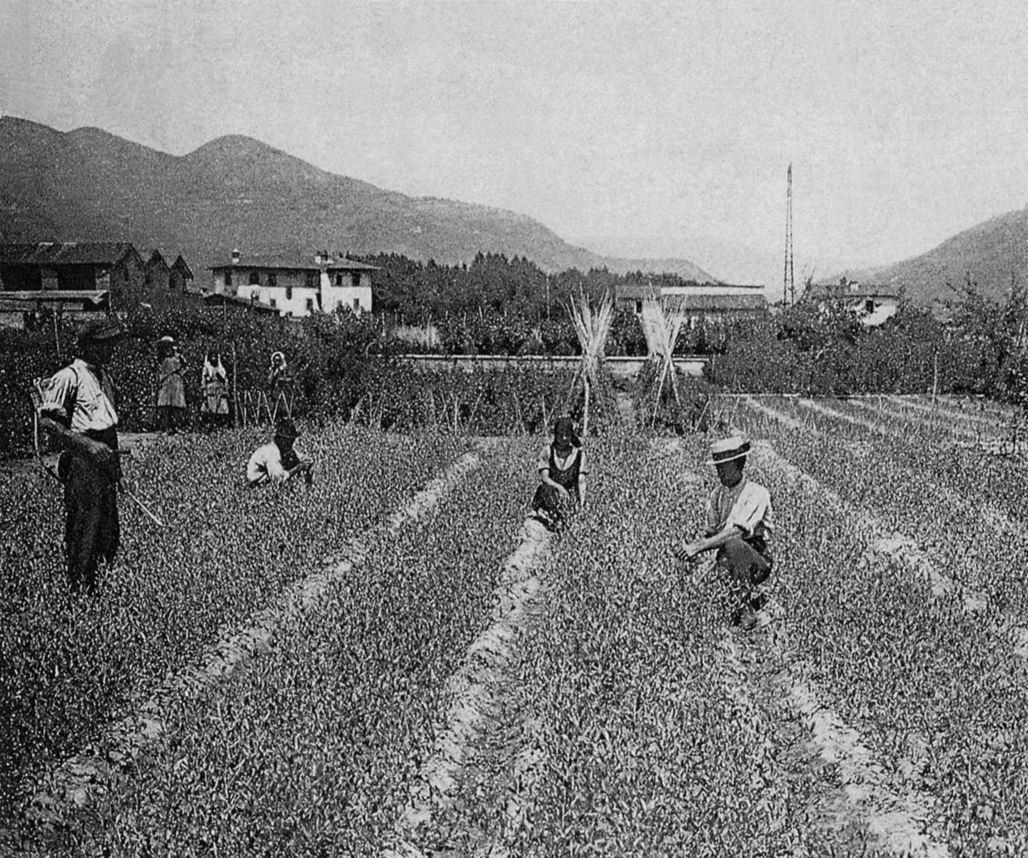 Oggi la dodicesima foto in regalo, poi da martedì si riparte con le immagini del territorio pesciatino