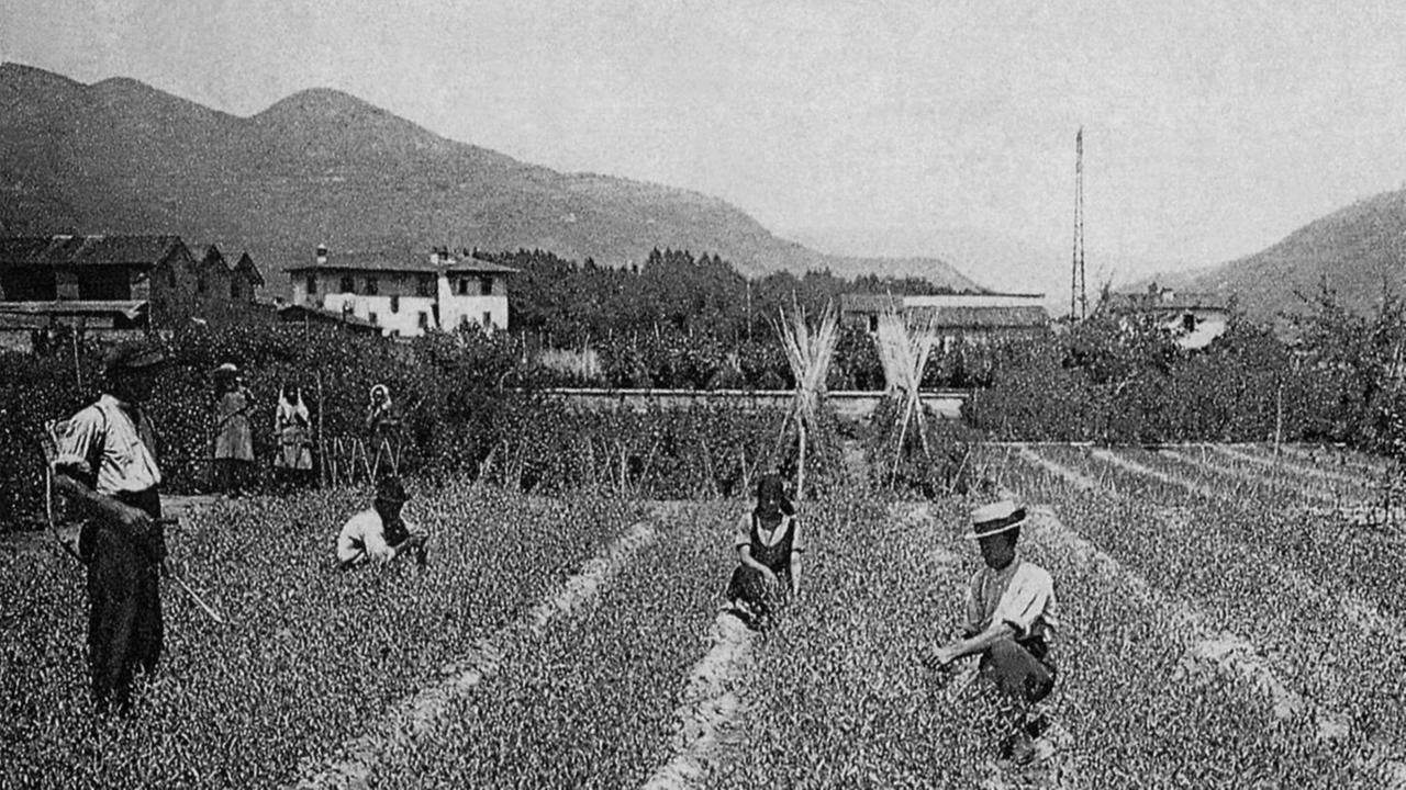 Oggi la dodicesima foto in regalo, poi da martedì si riparte con le immagini del territorio pesciatino