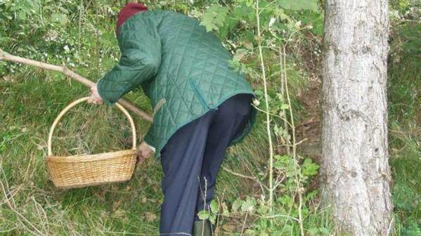 Ritrovato morto nel bosco il fungaiolo di Montignoso