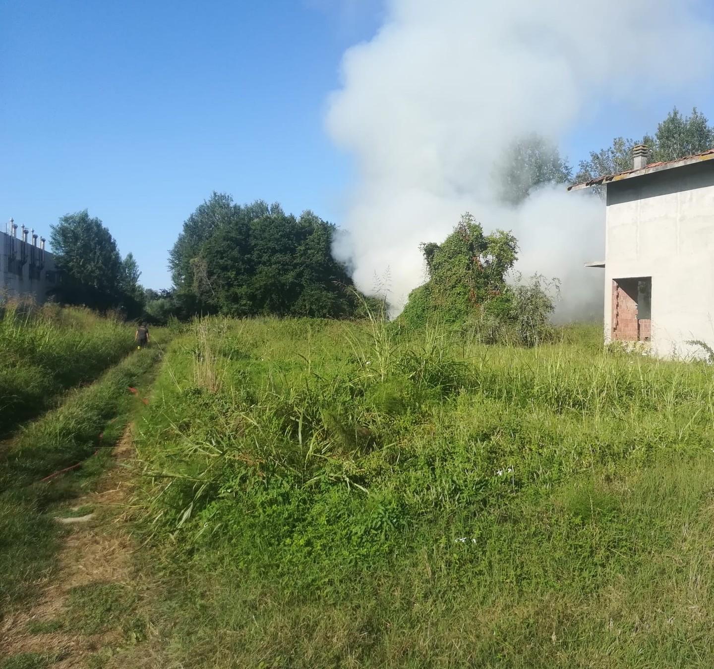 Incendio pericoloso nel bosco delle pioppete 