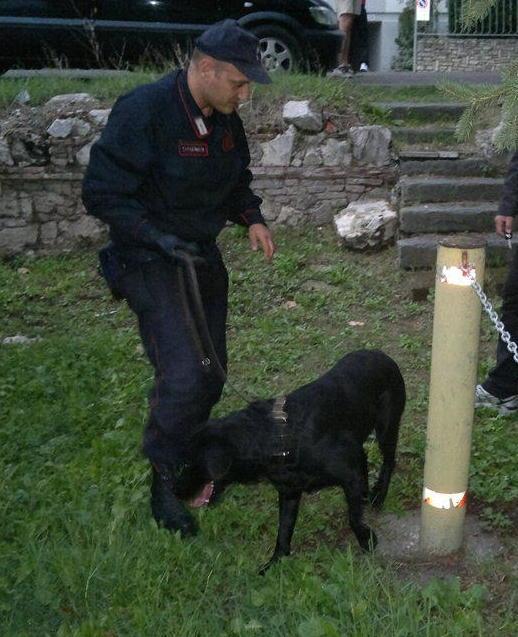 Lotta al degrado Controlli con i cinofili 