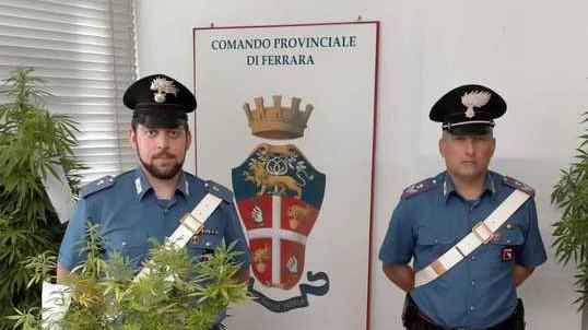 Hashish in via Cassoli E marijuana nella casa