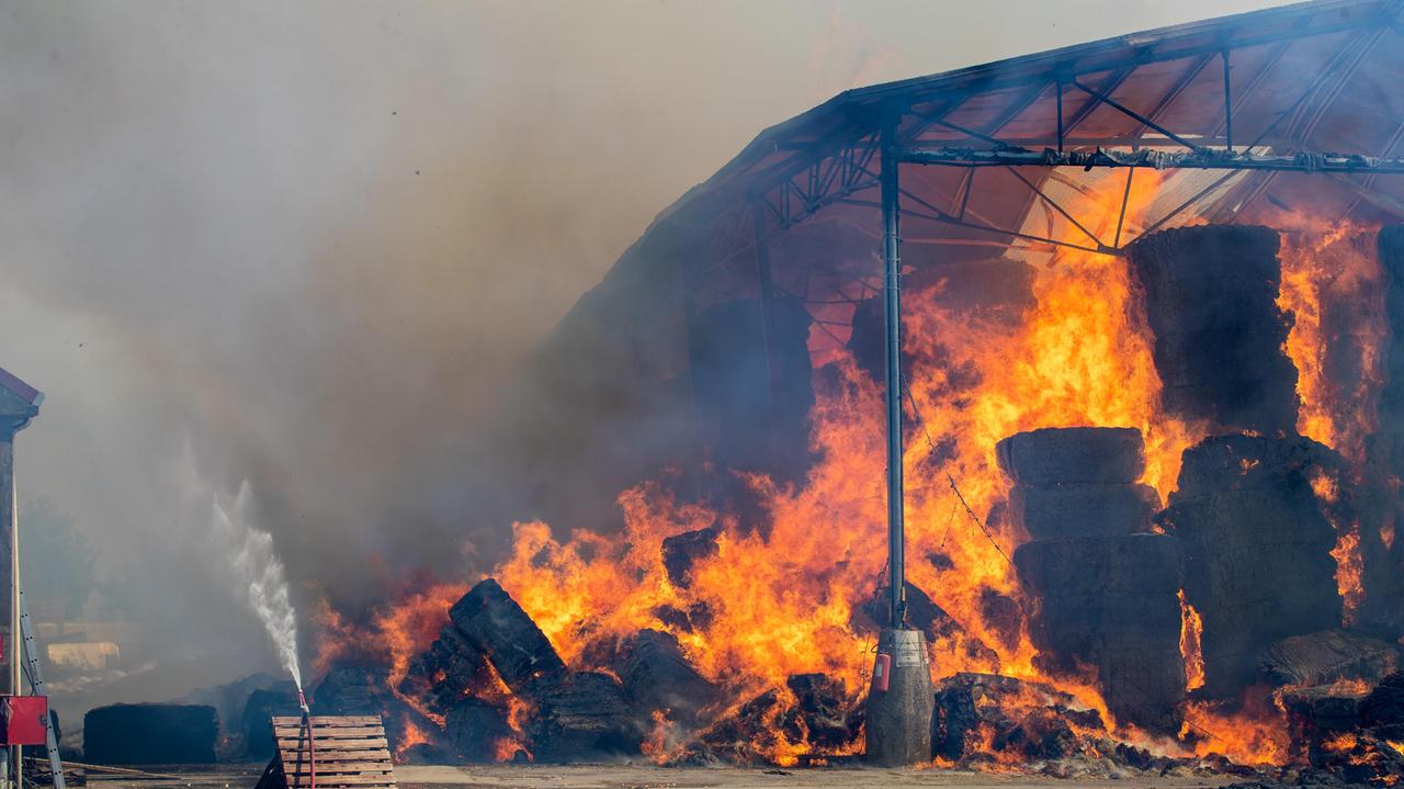 Filo, maxi incendio in azienda agricola: rotoballe e capannoni distrutti