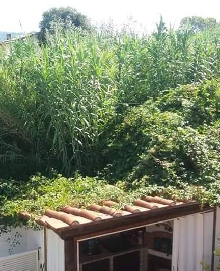 Degrado e spaccio in via Brasile Otto famiglie scrivono al sindaco 