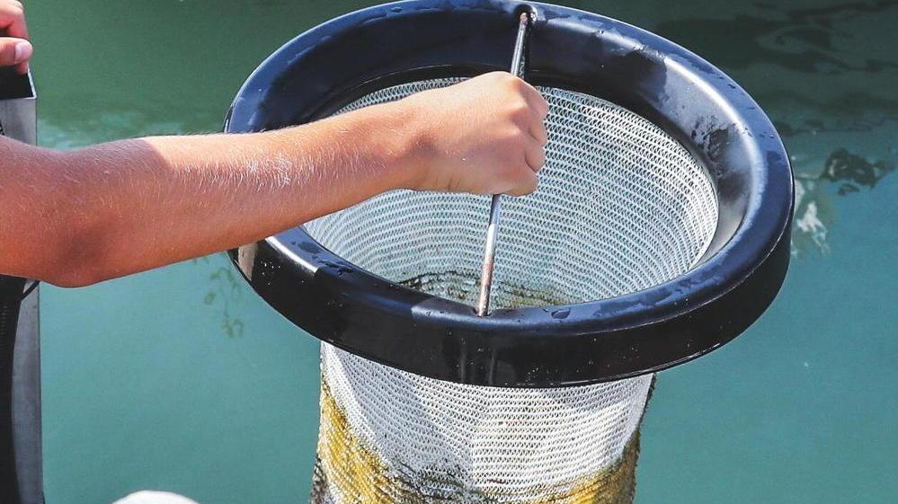 Ecco “Seabin” cestino tecnologico che libera il mare dai rifiuti di plastica
