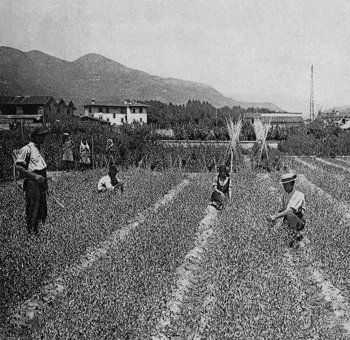Domani la prima foto dedicata a Pescia 
