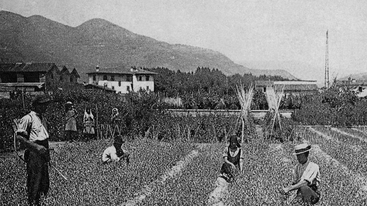 Domani la prima foto dedicata a Pescia
