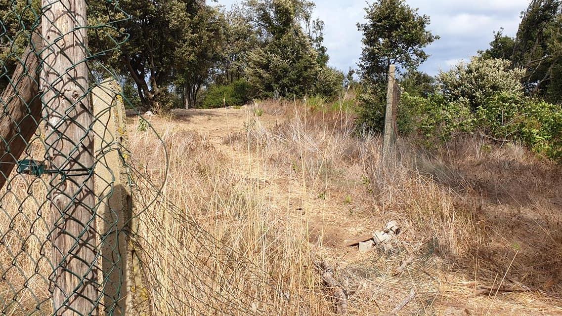 Immagini pubblicate da Patrizia Lorenzini sul gruppo social “Piccoli e grandi problemi di Piombino” per segnalare l’attuale situazione in tutta l’area del parco di archeologia condivisa di Poggio del Molino tra Baratti e Rimigliano: parziali recinzioni attorno alla zona di ricerca e mosaici scoperti