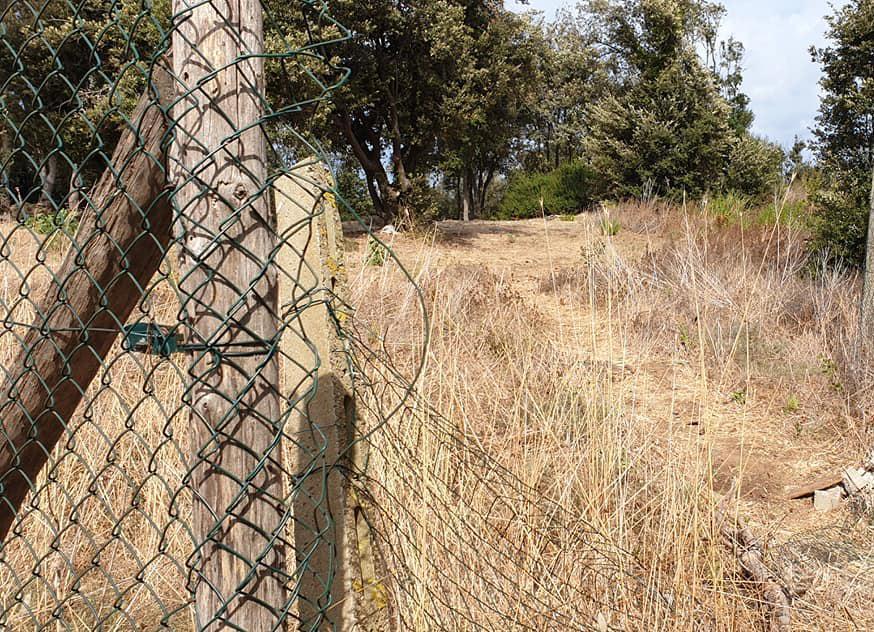 Poggio del Molino, progetti e passeggiata tra i mosaici 