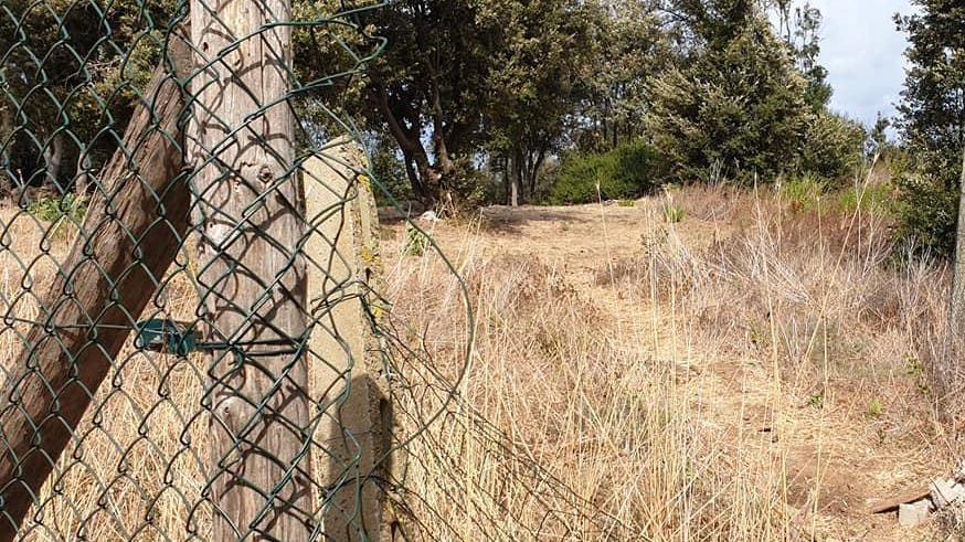 Poggio del Molino, progetti e passeggiata tra i mosaici