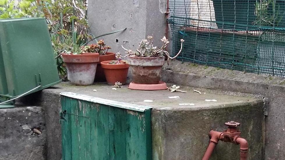A Rosignano Solvay pozzi inquinati da 15 anni, i residenti: «Vogliamo chiarezza»