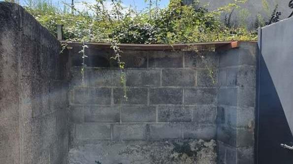 «Ho la casa invasa dai rovi, mio figlio allergico soffre»