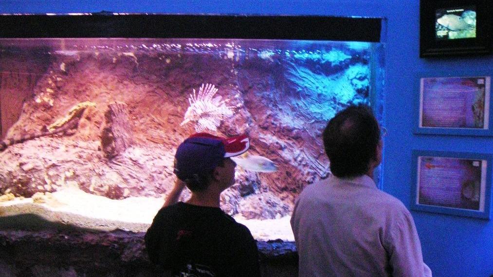 Fulmine fa saltare la luce Incassi persi all’Acquario