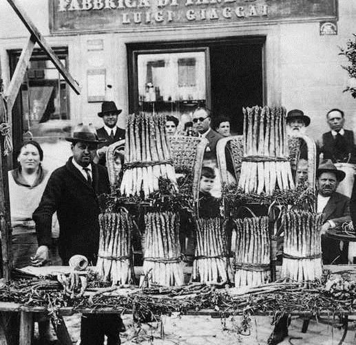 Asparagi giganti, orgoglio degli ortolani 