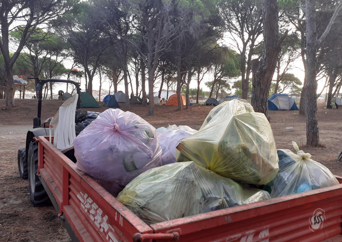 Siniscola, spazzatura in pineta raccolta da un gruppo di giovani 