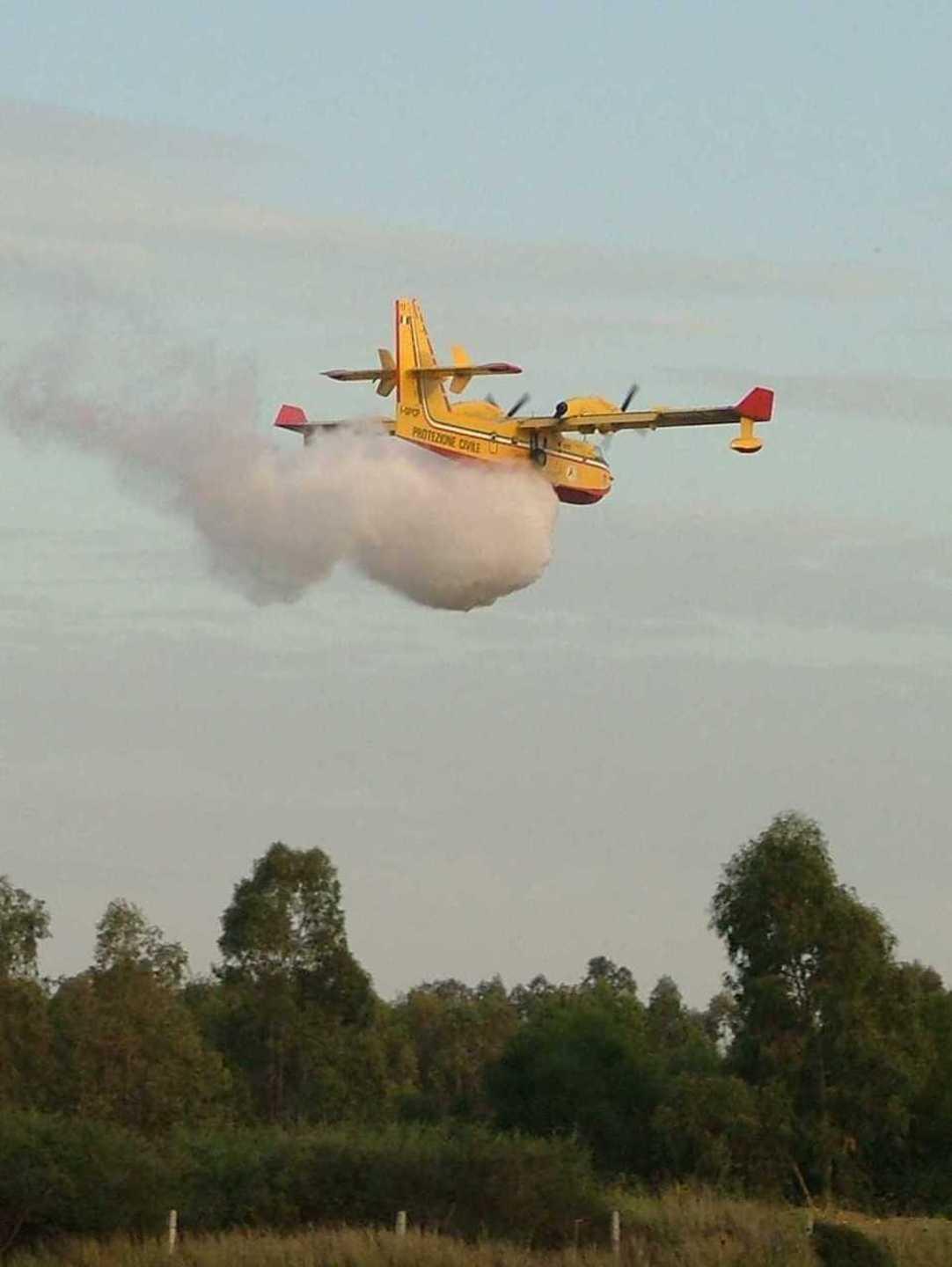 Incendio devasta venti ettari 