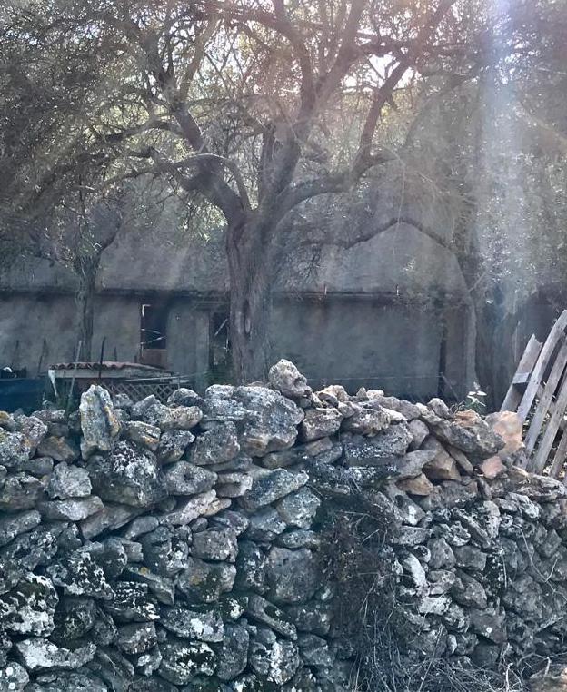 Appartamento in fiamme incerta la causa dell’incendio