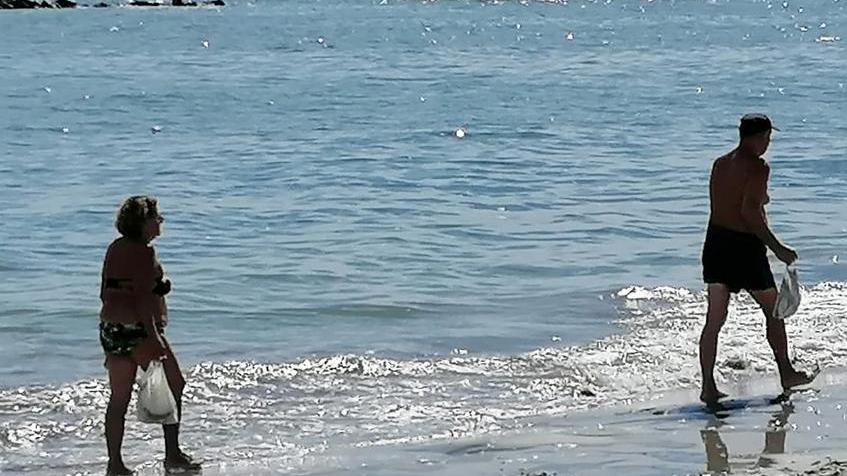 Morìa di pesci sulla battigia dei Lidi Scacchi e Pomposa, la rassicurazione: «Un fatto naturale»