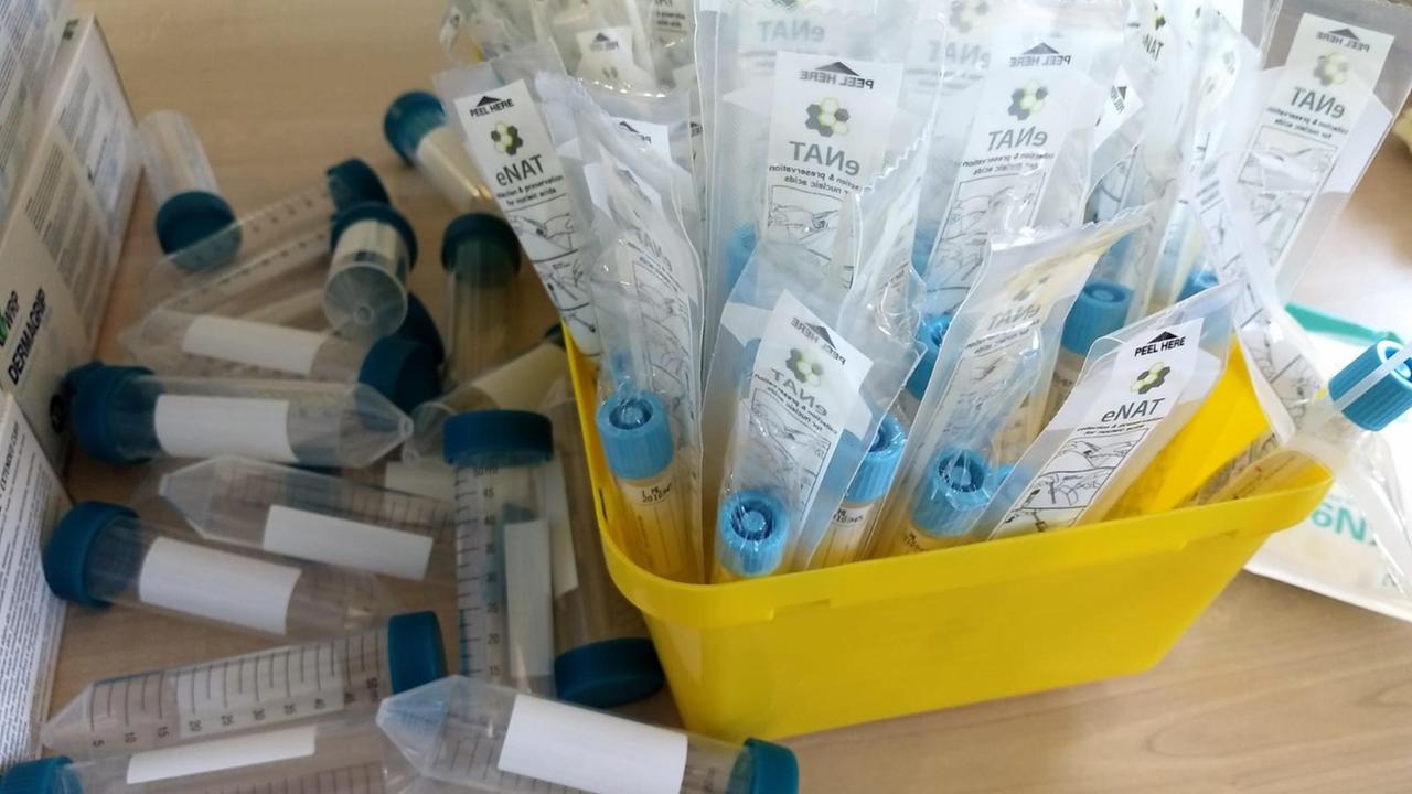 Coronavirus, due nuovi casi a Iglesias