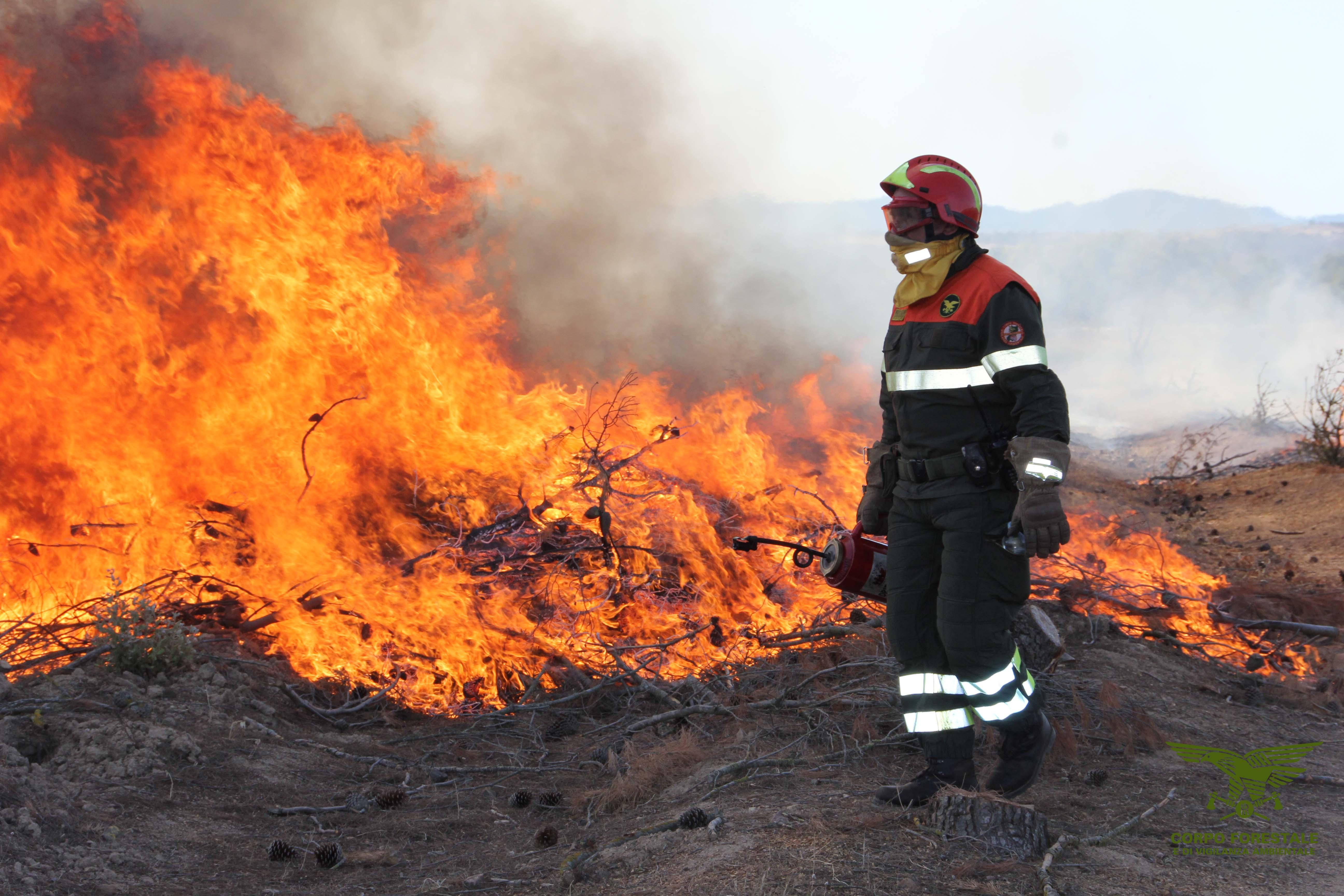 Incendi, operaio arrestato: Forestas avvia la procedura di licenziamento