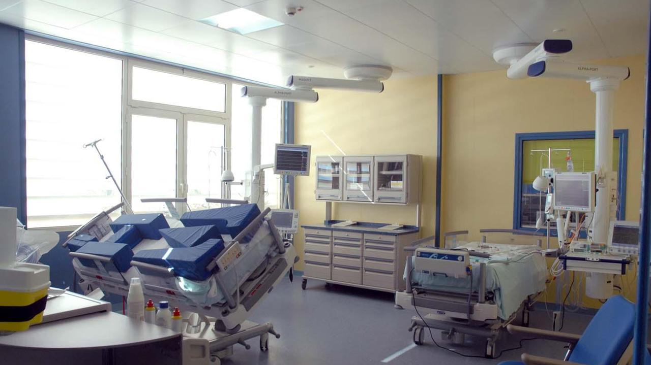 Donna aggredita da un pastore tedesco a Cagliari: ricoverata in ospedale