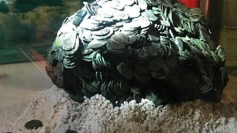 Storie di archeologia subacquea grazie al Tesoretto di Rimigliano