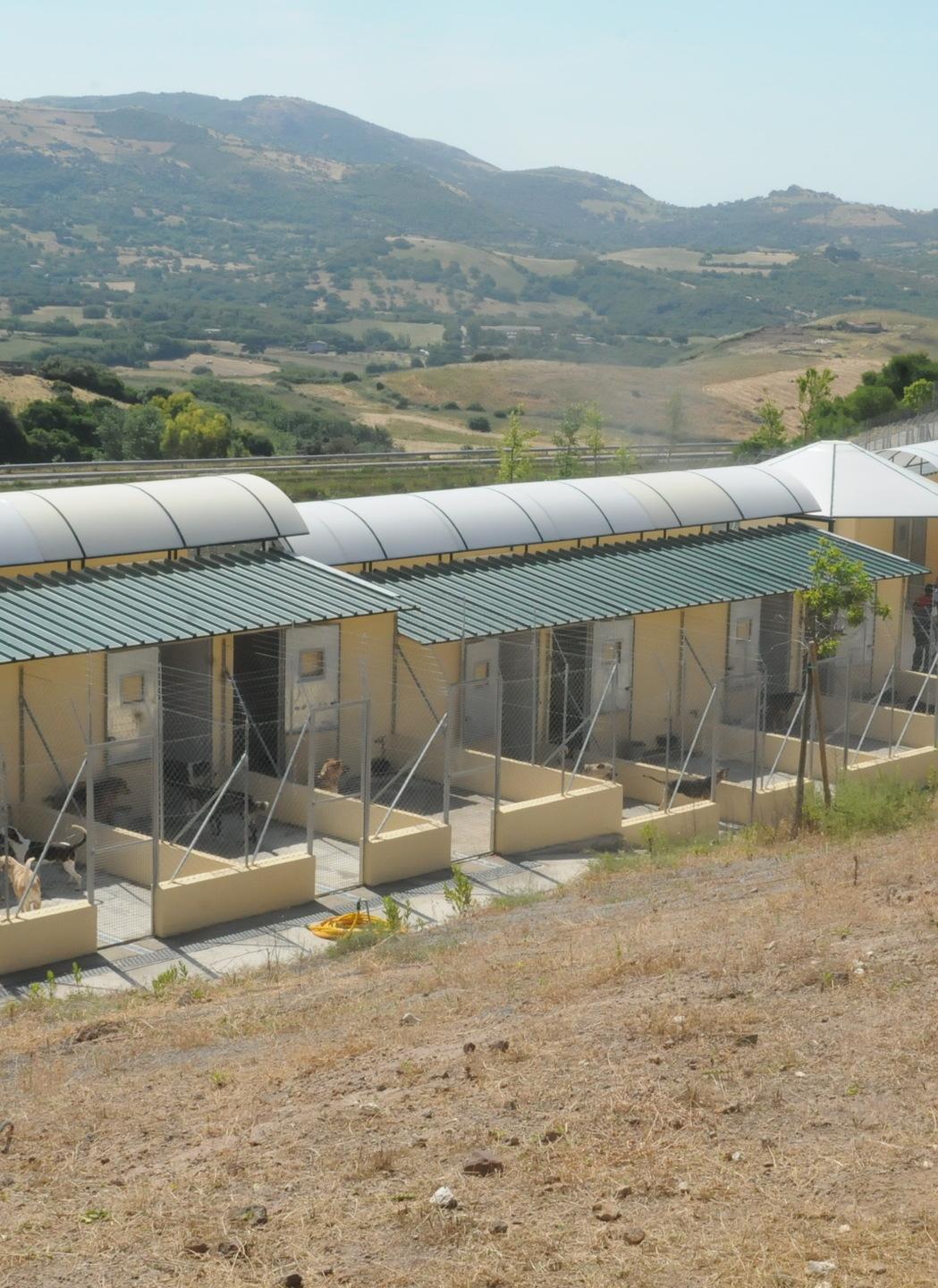 Microchippatura canina, le date di settembre