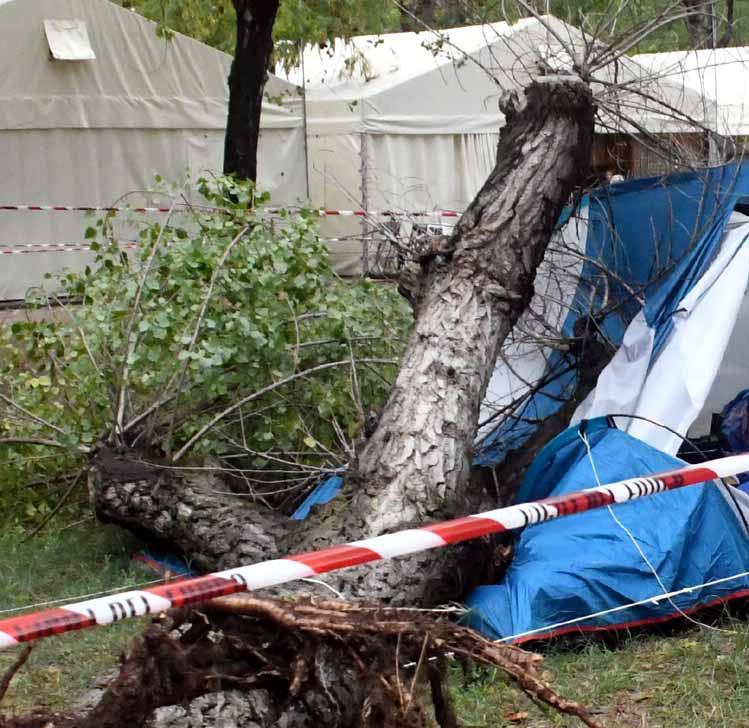 Sorelle morte al campeggio, la procura indaga sulla manutenzione degli alberi 