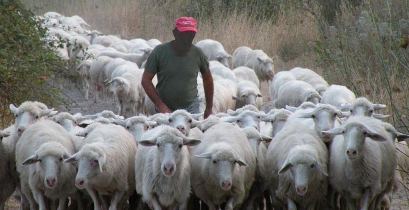 Macomer, il Comune assegna le terre civiche 