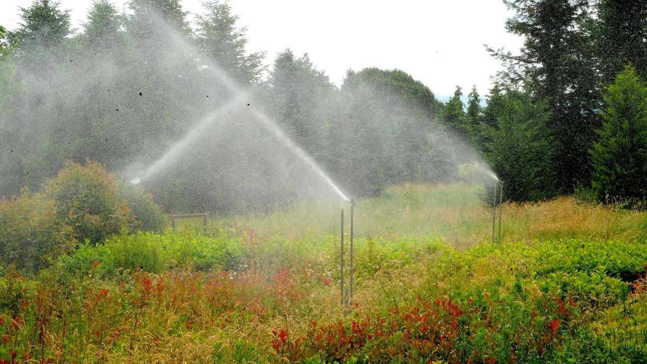 Progetto da 11 milioni di euro per la rete di irrigazione