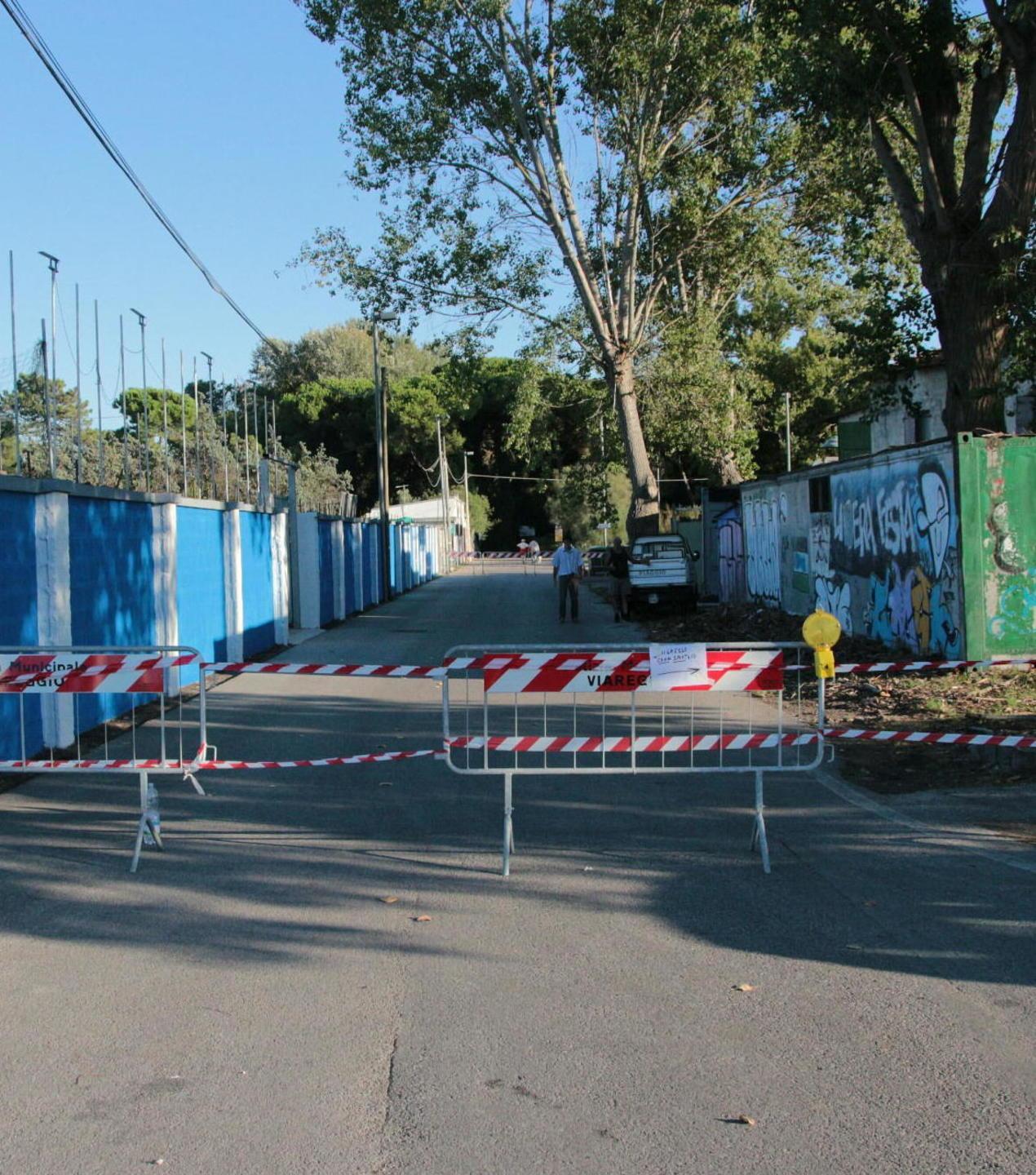 Cadono i rami dei pioppi: area interdetta in Darsena