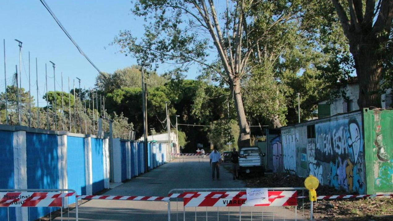 Cadono i rami dei pioppi: area interdetta in Darsena