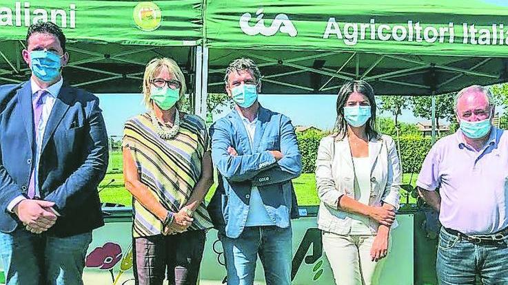 Ausl, allerta di Marchesi «Negli ospedali mancano medici e infermieri»