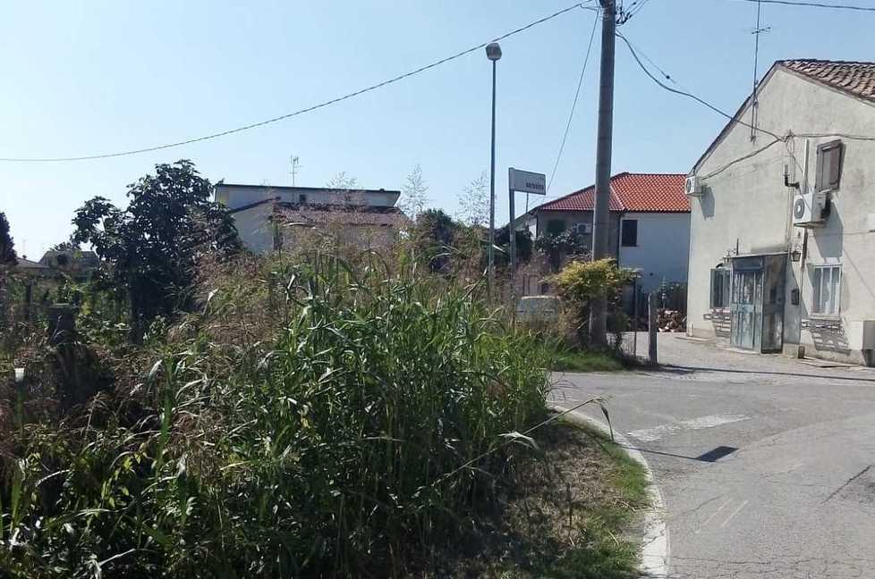 Proteste per l’erba alta a Ro