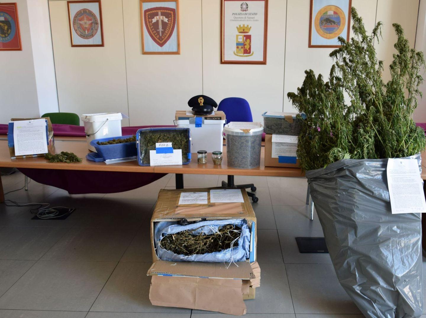 Dieci chili di marijuana sequestrati in pochi giorni